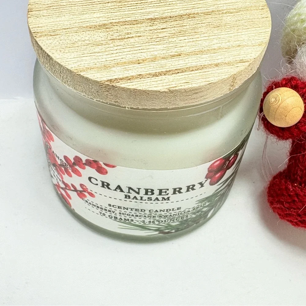 Cost Plus World Market Cranberry Balsam Candle sleigh pin and Santa ornament